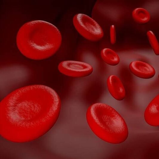 Imagem ilustrativa de corrente sanguínea com hemoglobina